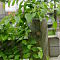 DSC00683.JPG
