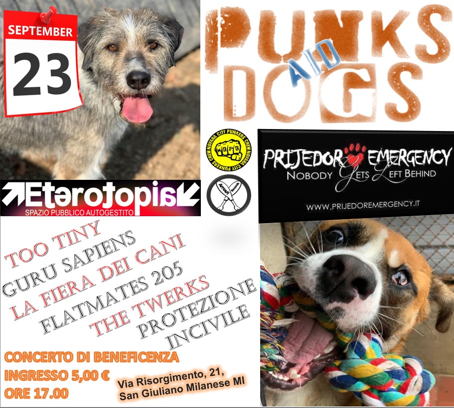 PUNKS AID DOGS 2023